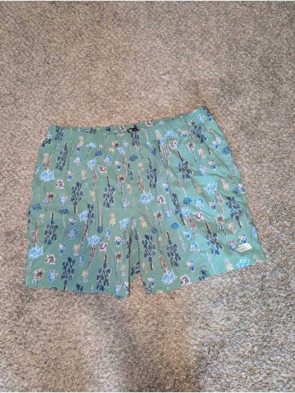 The North Face Pants Men's XXL Green Shorts Desert Print Preppy Beach Nylon
